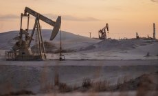 BofA: Саудитска Арабия започва дълга, но плитка ценова война на петрола