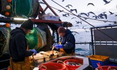 ЕС и Великобритания са постигнали споразумение за засилване на връзките след Брекзит