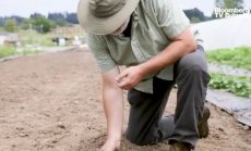 Биологията на почвата в ерата на климатичните промени, част 1