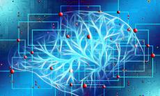 Изкуствен интелект се бори с коронавируса