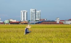 Как да търгуваме акции в условията на все повече екстремни климатични явления