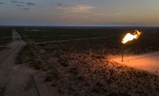 ОПЕК+ няма да увеличава предлагането на пазара въпреки високите цени на петрола