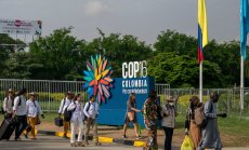 Преговорите за нов природен фонд на COP16 се провалиха