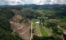 Търговците на кафе бързат да го внесат в Европа преди Закона за обезлесяването