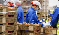 Близо 500 хиляди са планираните съкращения във Великобритания от началото на коронакризата 