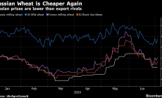 Руската пшеница отново е най-евтината в Европа