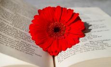 Ще разпознае ли българското училище ценността на позитивното образование?