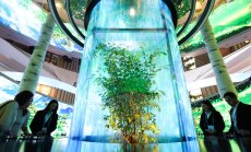 Делегатите на COP29 договориха механизъм за глобален пазар на въглеродни емисии