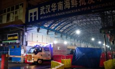 ЕС иска световна забрана на пазарите за диви животни в договора за пандемии