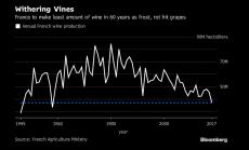 Френските винопроизводители очакват най-слабата си реколта от 60 години