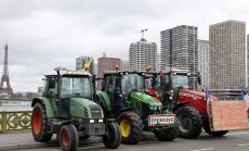 Френската реакция срещу украинското пиле говори много