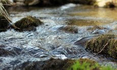 Богатството на минерални води в България