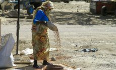 Международната общност не си взема поуки от трагичното минало в Африка