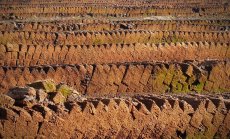 Енергия от блата: естонските учени използват торф за производство на батерии