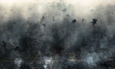 Пожарите и обезлесяването превърнаха 2020 година в кошмарна за Амазония 