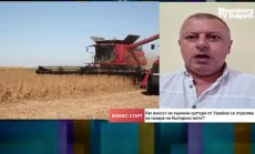 Зърнопроизводителите са заплашени от безконтролния внос от Украйна