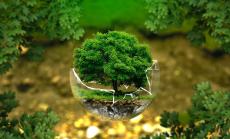 Акценти от климатичната конференция в Бон