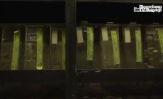 Да картографираш човешкия мозък, част 5