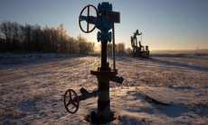 Таванът на цените на руския петрол ще е опасна ескалация 