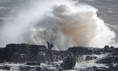 Цените на тока в Европа паднаха под нулата заради силните бури