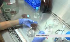 Български студенти създават говорещи бактерии