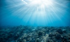 САЩ с нови претенции за морското дъно заради стратегическото търсене на ресурси