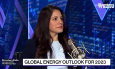 Енергийните пазари през 2023г според Вахшури от SVB, част 2
