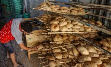 Египет опитва да си подсигури доставките на пшеница на фона на засилено регионално напрежение