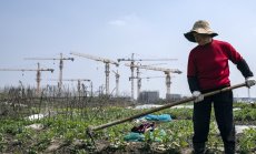 Икономиката на Китай се забави, а инвеститорите чакат разхлабване на политиките