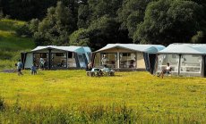 Диво очарование 