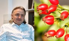 Български шипкови продукти превземат Европа след съюз между бизнес и наука