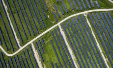 Климатът е новата криптовалута за корпоративно ребрандиране