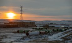 Петролът поскъпна след краткото спиране на тръбопровода Keystone между Канада и САЩ