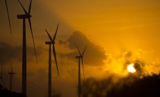 След напускането на САЩ ESG фондовете отбелязват първи нетен отлив в световен мащаб