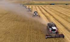 България временно забранява вноса на 20 хранителни стоки от Украйна