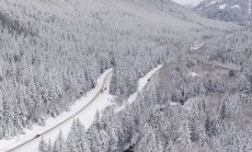 Планинският туризъм страда от copy-paste бизнес модели