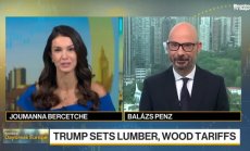 Канада ще е най-засегната от митата за дървен материал и мебели