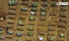 Първите 8 милиарда: Светът се ваксинира, част 3