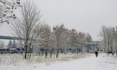 Арктическите студове, идващи в Европа, ще тестват крехките енергийните системи