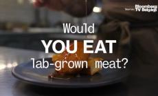 Бихте ли опитали месо, отгледано в лаборатория, част 1