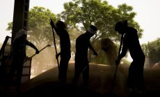 Нова заплаха грози световното снабдяване с храни заради липсата на дъжд в Индия