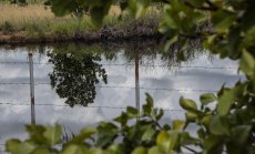 Споразумение между Колумбия и Венецуела дава толкова отговори, колкото и проблеми