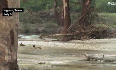 Тръмп направи обиколна на пострадалите от наводнения райони в Тексас