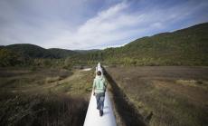 Газпром призна разходите за Южен поток за загуба