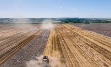 Войната и подгизналите полета оставят света без първокачествена пшеница