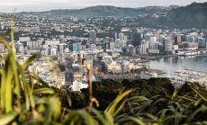 Нова Зеландия се превръща в убежище за богатите