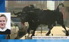 SEE Link ще даде лесен достъп за инвеститорите