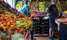 Еврото няма да оскъпи храните, но по-голяма конкуренция може да свали цените