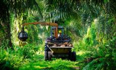 Шоколадът вероятно ще стане по-скъп