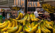 Защо не трябва да бъркаме пика на петрола с цената на бананите